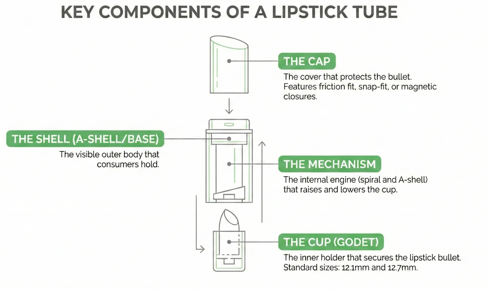 Infographic showing the anatomy of a lipstick tube. It labels the four key components: The Cap, The Shell (A-Shell/Base), The Mechanism, and The Cup (Godet).