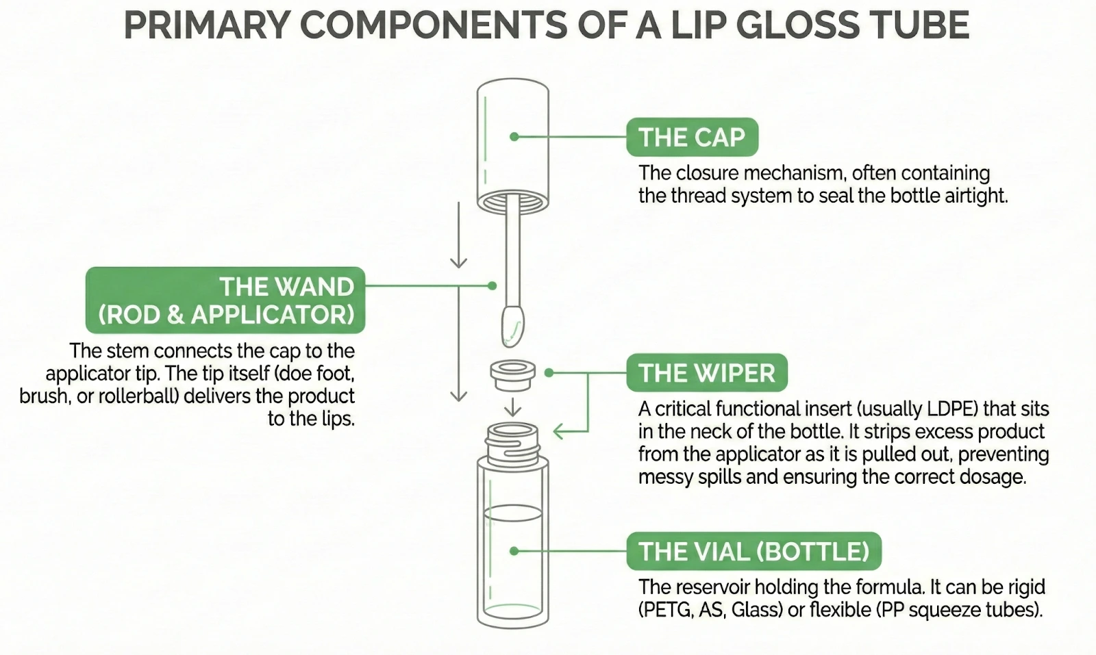 Diagram titled 'Key Components of a Lipstick Tube,' showing an exploded view depicting the Cap, the Shell (outer body), the Mechanism (internal engine), and the Cup (inner holder for the bullet), with brief descriptions of each part.