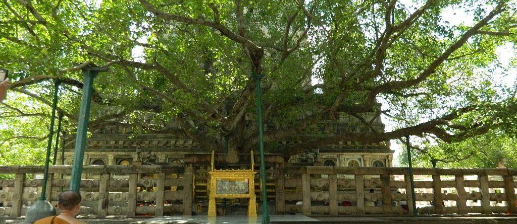 Mahabodhi Temple at Bodh Gaya