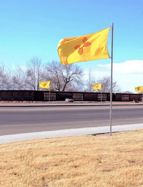 Large yellow flag next to highway
