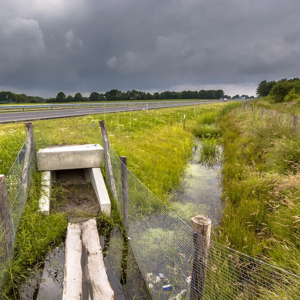 Drainage system