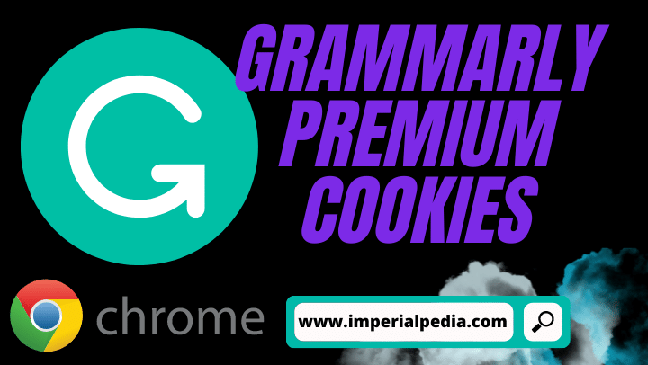 Grammerly Cookies