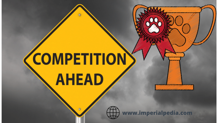 Perfect Competetion consumer Demand