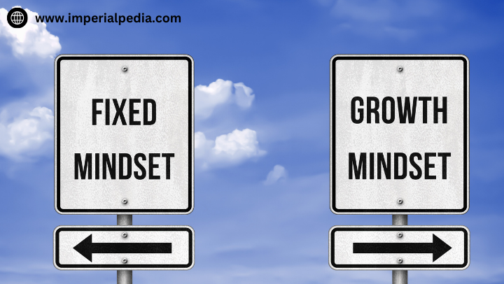 Groth mindset vs fixed mindset