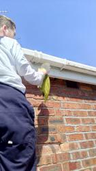 gutter cleaning service logo