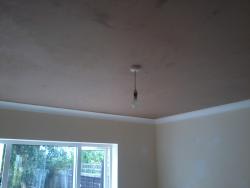 ANDREA PLASTERING Logo