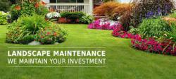 SURBITON LANDSCAPING & BUILDING SERVICES LTD Logo