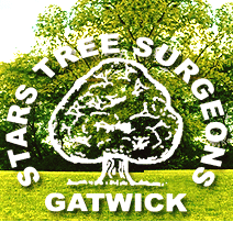 STARS TREE SURGEONS - TREE SURGEONS IN CRAWLEY logo