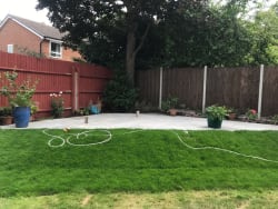 Main photos of Branching OUT Trees & Landscape Design Limited