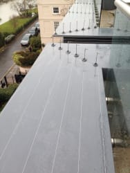 Post and Wire bird proofing