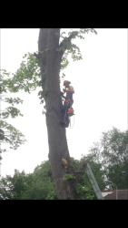 Main photos of Navada Smith T/A Cherry Arborist