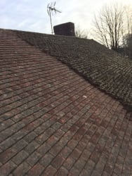 Roof  Half scraped clean by hand