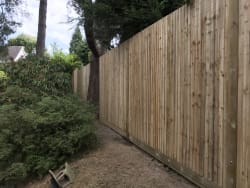 Main photos of Four Seasons Landscaping