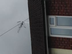 Old aerial removed and new one installed to   chimney at back of property