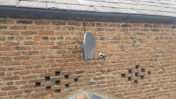 New sky dish fitted for Dibbs farm with new set of twin feed cables.