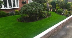 Cover photos of Future lawn