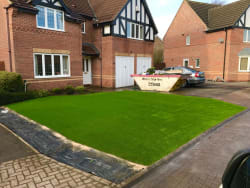Main photos of Future lawn