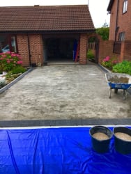 Main photos of Premier Landscaping Services LTD