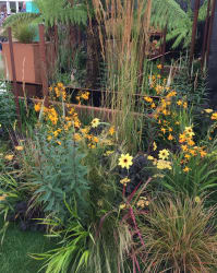 Main photos of Creative Cheshire Gardens
