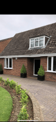 Main photos of Loft & Build Ltd
