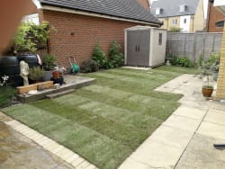 Main photos of Garden Turf World