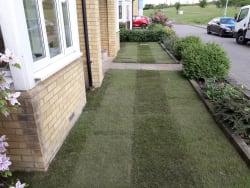 Main photos of Garden Turf World