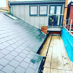 Zink dormer loft 