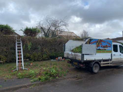 Main photos of Three Oaks Tree & Garden Services