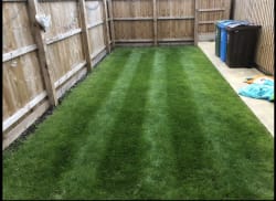 Lawn Treatment and Mowing 