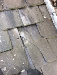 Main photos of C.dickson roofing