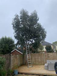 Tree and Garden Landscape Services Logo