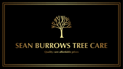 SB Tree Care Logo