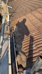Main photos of Royal Roofing Services