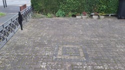 Main photos of Highview Roofing and Property Maintenance