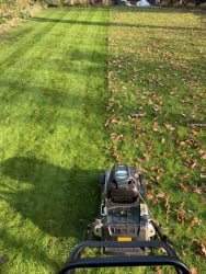 Cover photos of T Cash landscaping and garden maintenance