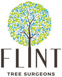 Flint tree surgeons logo