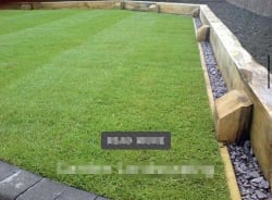 Landscape turfing and fencing 