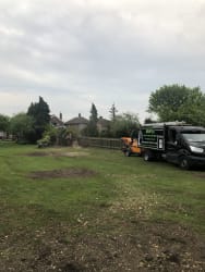 Main photos of Maple Tree Service and Landscaping LTD