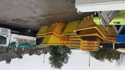 Skip hire and waste clearance 