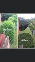 Cover photos of B Mccann Building and landscaping Ltd