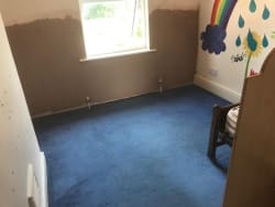 Main photos of The Hive Efficiency Group Damp Proofing