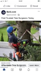 Main photos of KM Treecare