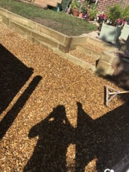 Roofing tree driveways of Capital Landscapes & Tree Services