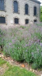 Main photos of Emerald Driveways And Landscaping