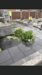 Cover photos of Complete driveway and landscaping