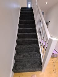 Replace new carpet 