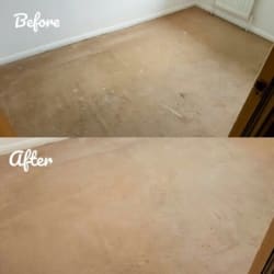 Ungraded photos of Best Carpet Cleaners