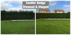 Main photos of Stately Tree Garden & Landscaping LTD
