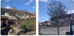 Main photos of NEW Design Landscapes
