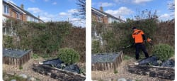 Main photos of NEW Design Landscapes